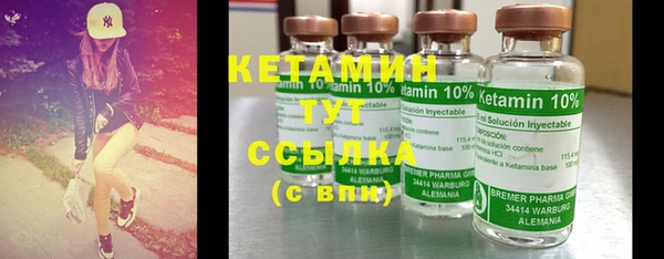 PSILOCYBIN Вяземский