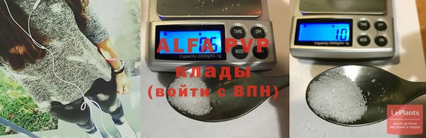 стаф Вязники