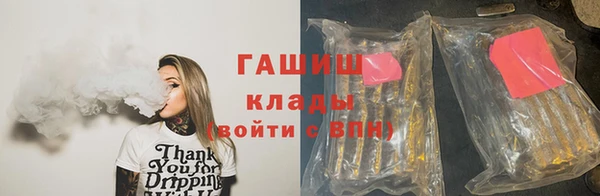 PSILOCYBIN Вяземский