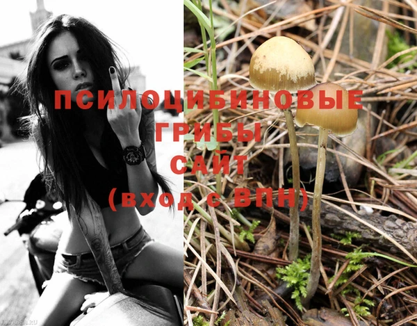 PSILOCYBIN Вяземский