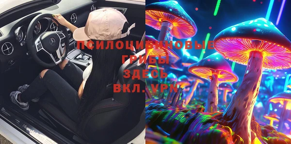 PSILOCYBIN Вяземский