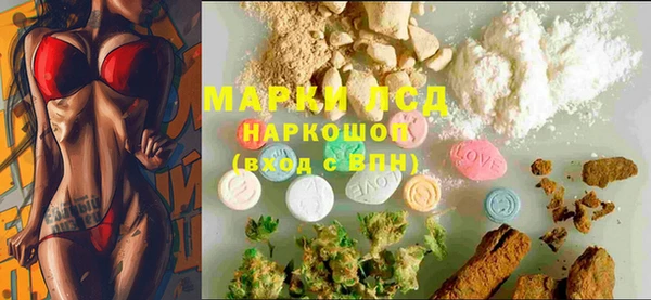 PSILOCYBIN Вяземский