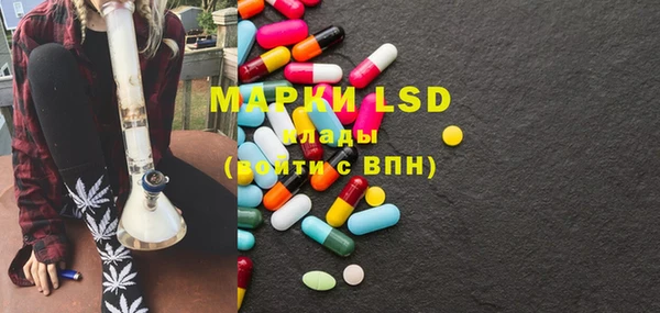 PSILOCYBIN Вяземский