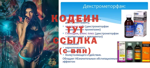 PSILOCYBIN Вяземский