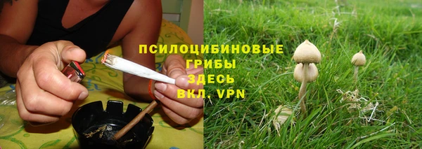 стаф Вязники
