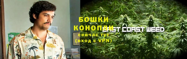 стаф Вязники