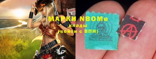 PSILOCYBIN Вяземский