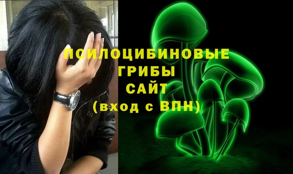 стаф Вязники
