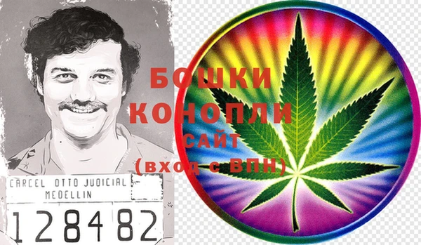 PSILOCYBIN Вяземский