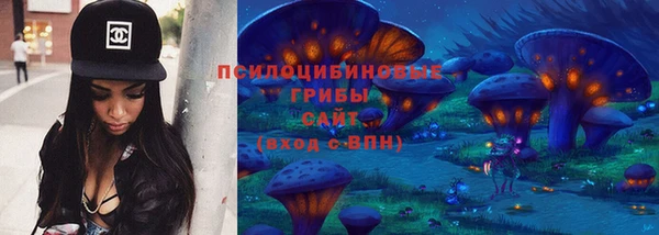 стаф Вязники
